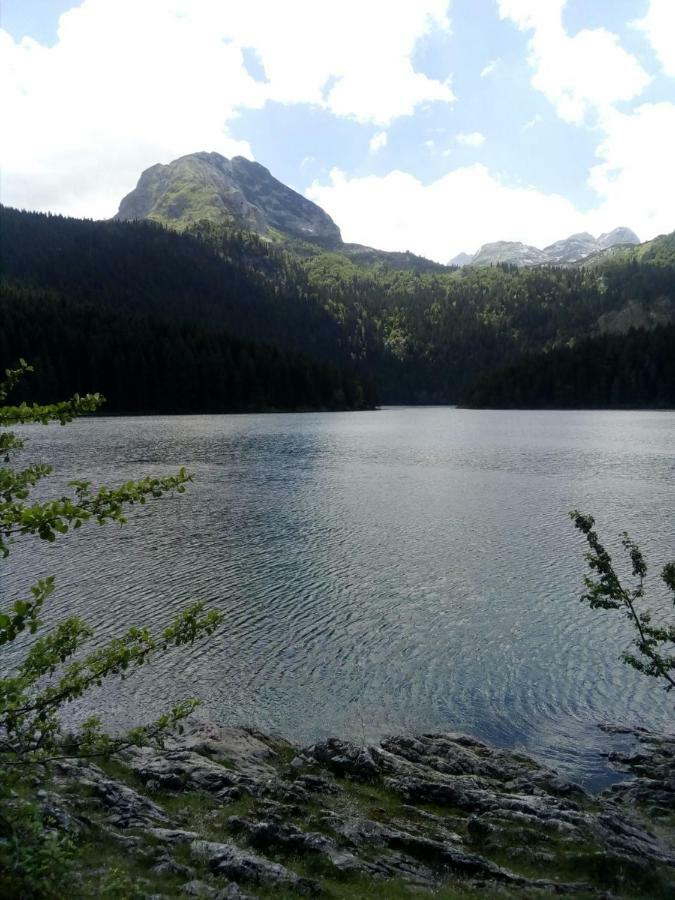 Apartments Durmitor Zabljak  Exterior photo